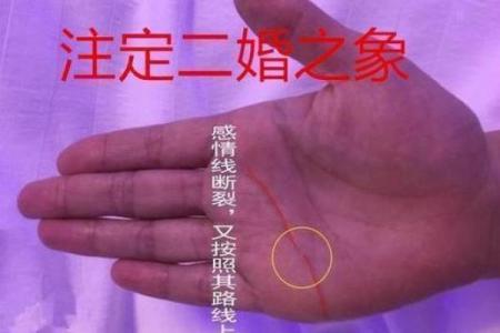贾静雯的八字注定要经历二婚 谁说二婚的女人不幸福 她就是例外