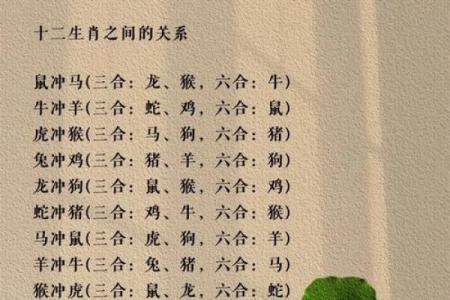 月老牵线谁？十二生肖中哪些属相更容易牵上红线？