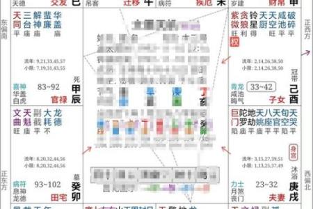 名人紫薇斗数格局