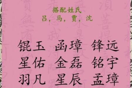 2019年3月17号辛时出生的男孩应该起什么样的名字姓名