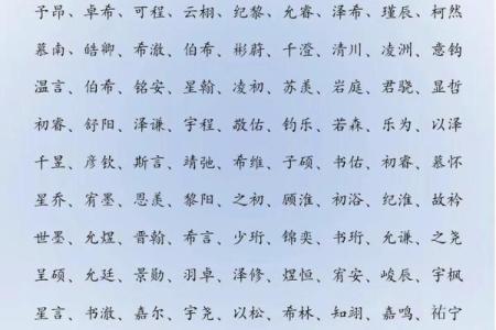 2019年5月19号丑时出生的男孩起名时要注意什么姓名