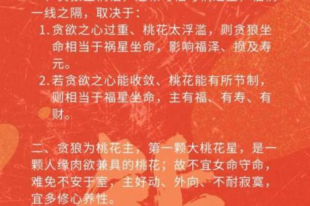 紫薇斗数火空则发多大财