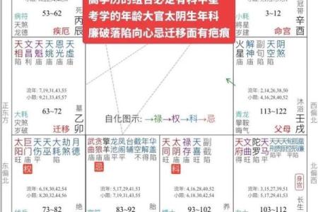 免费测算紫薇斗数