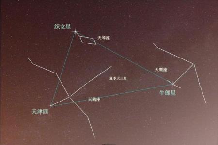 星座是根据天文知识推算的吗