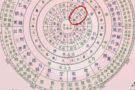 八字十神排盘紫薇斗数