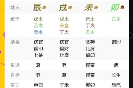 八字看主人长相
