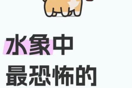 懒癌晚期，饿死也不想动的星座