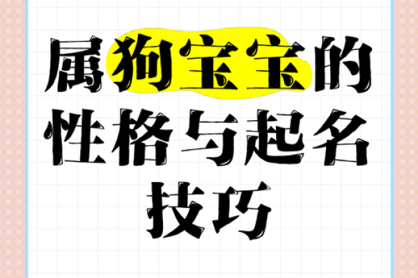 如何给属狗午时出生的男孩起名字，宜用什么字姓名
