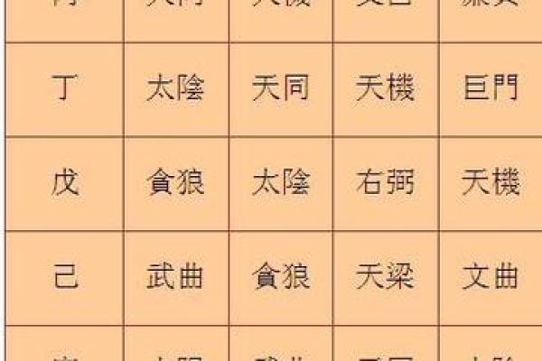 紫薇斗数意思