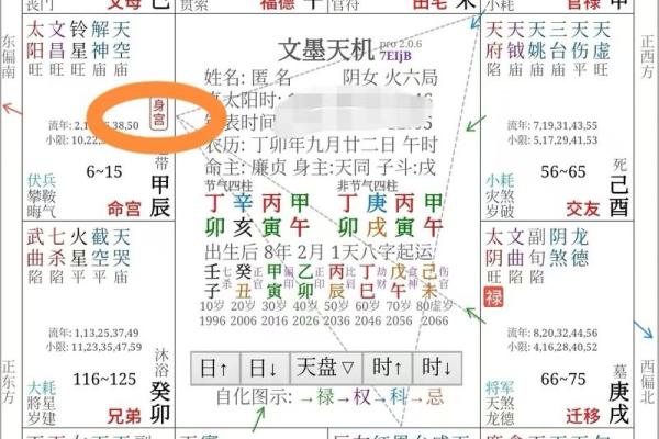 紫薇斗数意思
