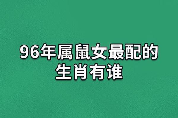 揭秘肖鼠女的属相配对