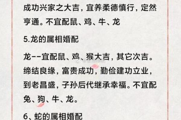 属相婚配算命真相