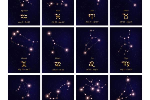 12月14日是什么星座