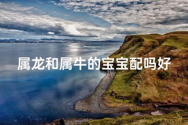 属龙和属牛的八字合吗