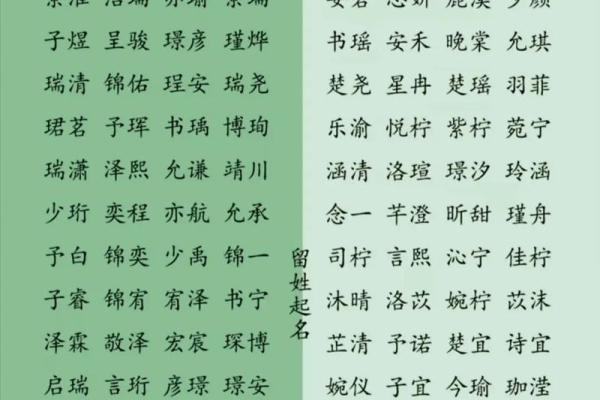 八字生辰起名