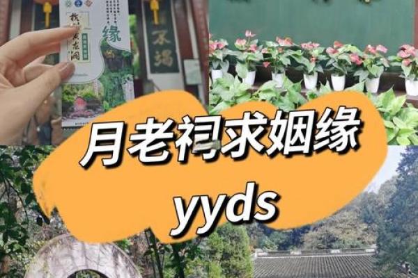 句容茅山月老殿求姻缘 茅山月老祠？