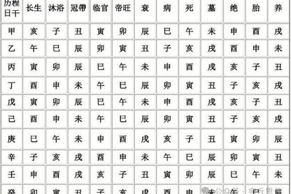八字十二地支三合六合详细解说