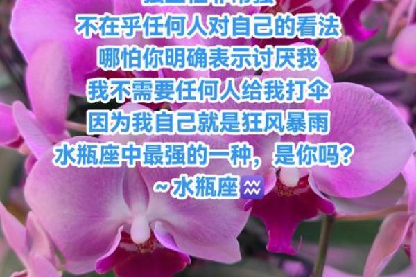 最懂水瓶座的三大星座 哪三个星座最懂水瓶座