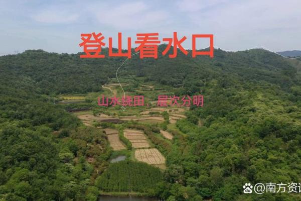 深圳风水_目前中国还有哪些发明
