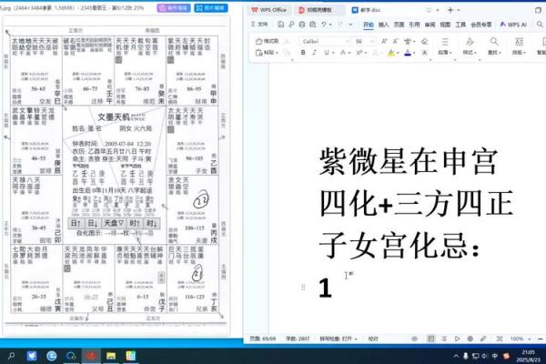 紫薇斗数教学初级