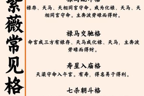 紫薇斗数发微论注解
