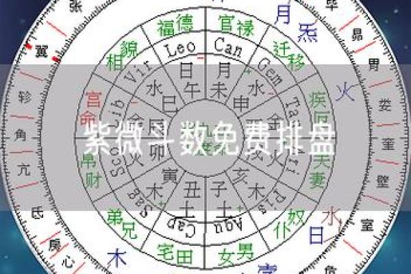 紫薇斗数网站在线排盘