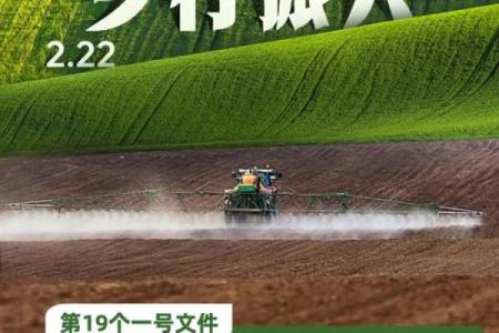 【数字乡村】“数字”和“乡村”的八字，到底合不合？