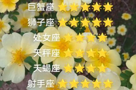 星座运势2024年白羊