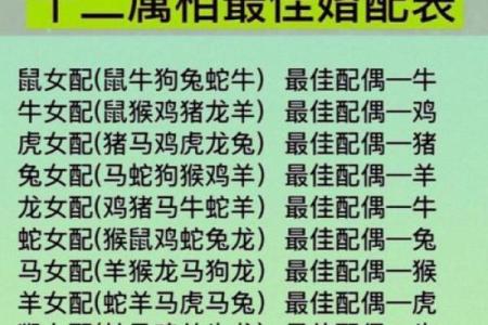 生肖查询：1998年属什么生肖配对