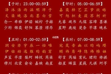 宝宝八字取名字大全免费,免费取名字大全生辰八字起名