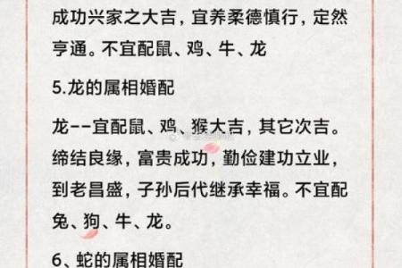 属相婚配算命真相