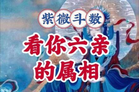 十二生肖紫薇斗数
