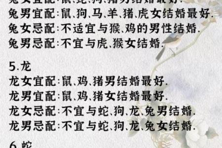 1991年属什么生肖配对女 1991年属什么生肖配对最好命