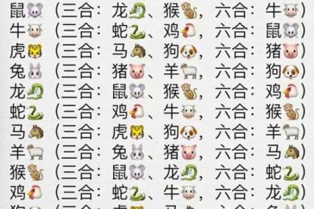 八字十二地支三合六合详细解说