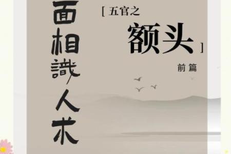 面相解析：额头面相算命图解