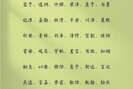 晚上十点出生的属狗男孩怎么取名，用什么字姓名