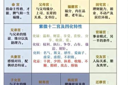 紫薇斗数化忌详解