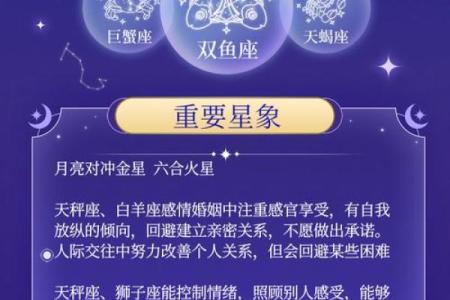星座5月爱情运势预测