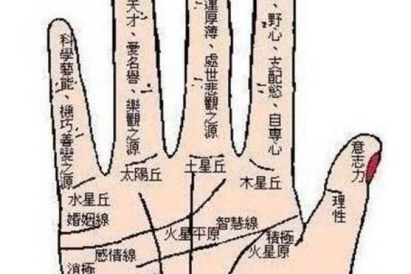 手相算命之十大手相富贵纹