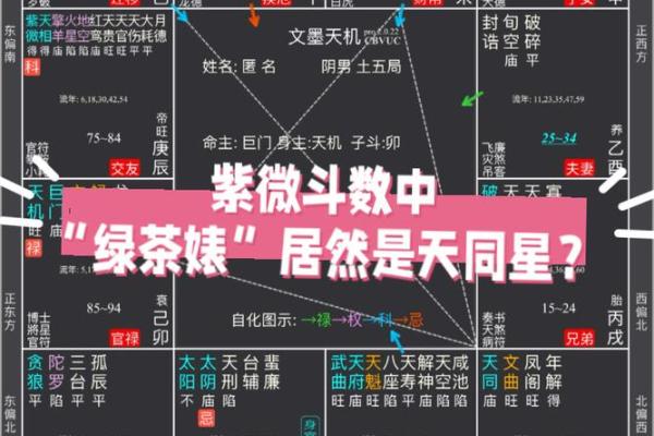 紫薇斗数中同度什么意思