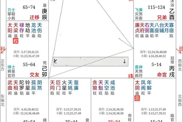 紫薇斗数软件破解