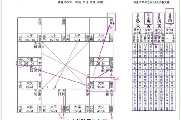 紫薇斗数星盘下载