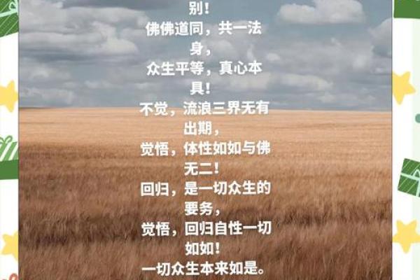 算命占六世轮回中的佛道
