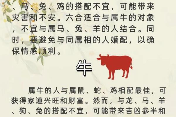 女牛男兔生肖配对姻缘 女牛男兔相配婚姻会怎么样？