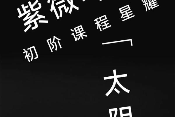 太阴星百度百科