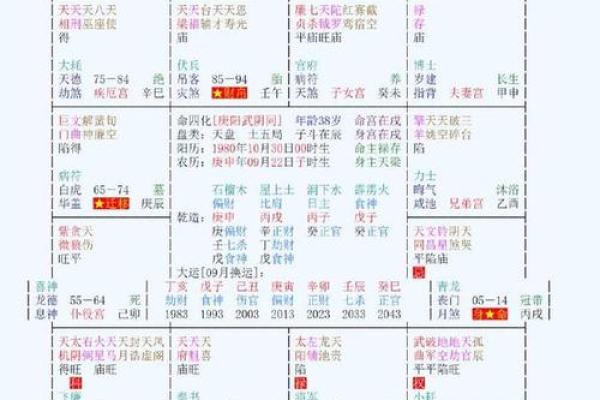 东有小山紫薇斗数7