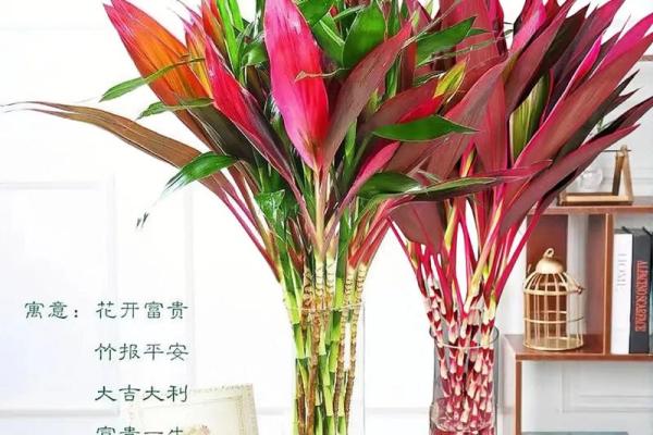 风水转运_鸿运竹养几根才更好