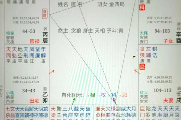 紫微斗数关于天魁天钺星的部分解析
