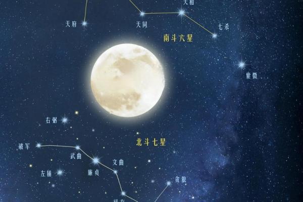 生长紫薇斗数
