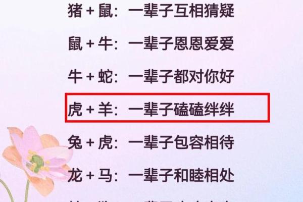 12生肖佳姻缘配对
